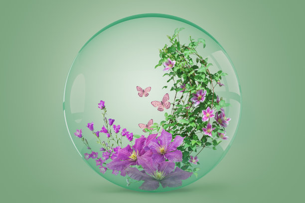玻璃球内插花图片下载