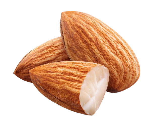 白色背景上没有阴影的杏仁图片下载