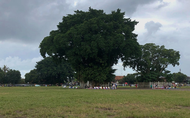 日惹南部图片下载