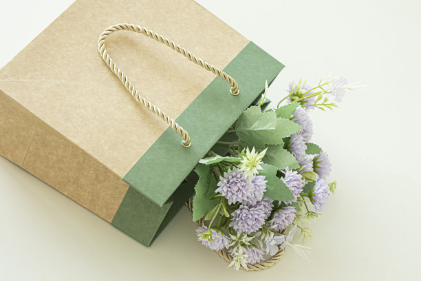 棕色牛皮纸纸袋孤立的白色背景。图片下载