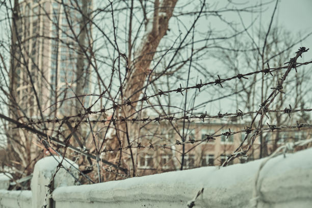 混凝土栅栏上的旧铁丝网，冬天的雪很大特写选择性聚焦图片下载