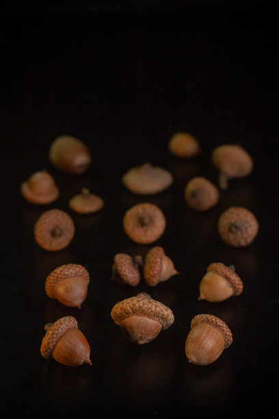 黑色背景上的橡子特写图片下载