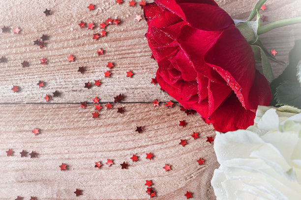 白色和红色的玫瑰木桌背景与复制空间图片下载