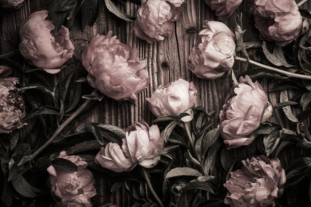 复古牡丹花静物背景图片下载