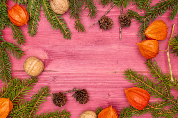 圣诞装饰品，圣诞树树枝和玩具。圣诞卡片的布局。图片下载