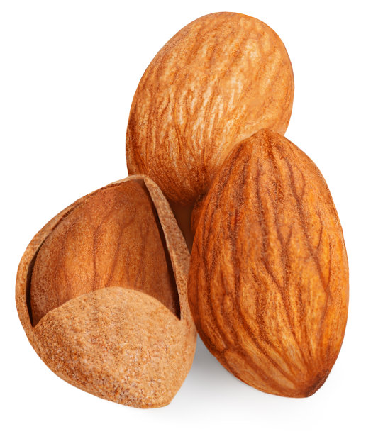 白色背景上的杏仁。杏仁坚果收藏图片下载