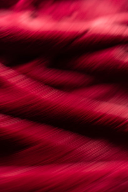 模糊背景Viva品红色图片下载