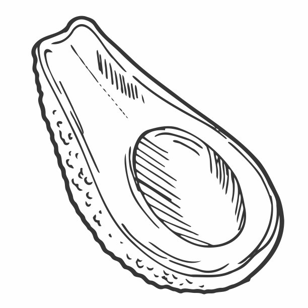 鳄梨矢量插图与黑色手绘风格隔离在白色背景上图片下载