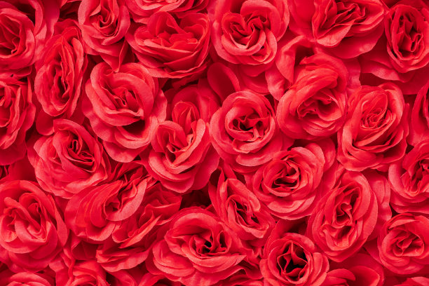 人造玫瑰花、派对纺织花环、婚礼背景红色花朵图片下载