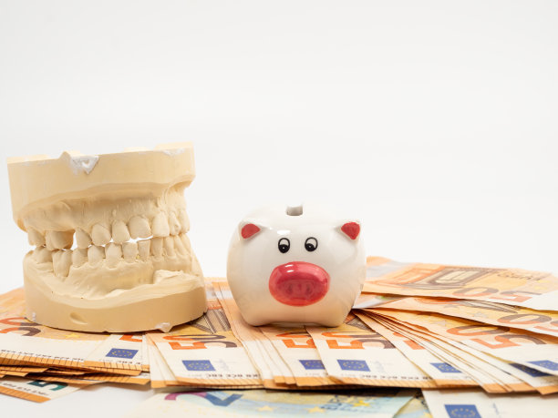 白色背景上有牙模、存钱罐和钞票。牙齿石膏模型。图片下载