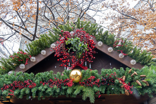 乌尔姆的圣诞市场图片下载