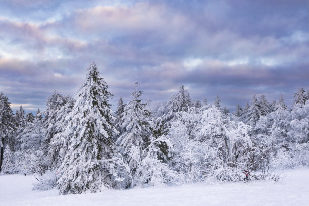 冬天在陶努斯/德国图片下载