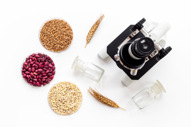 微生物实验室用显微镜研究食品质量图片下载