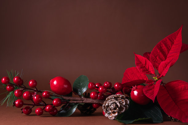 节日卡片-红色的一品红，冷杉圆锥，圣诞装饰在棕色的背景。平铺，俯视图。图片下载
