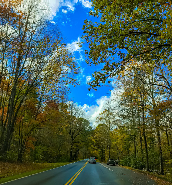 秋天的颜色图片下载