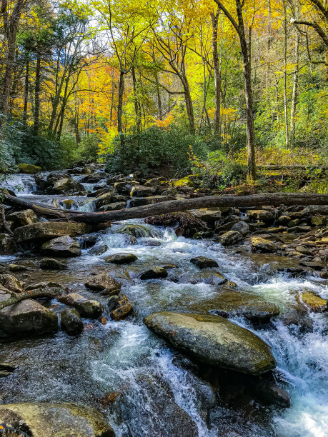 秋天的颜色图片下载