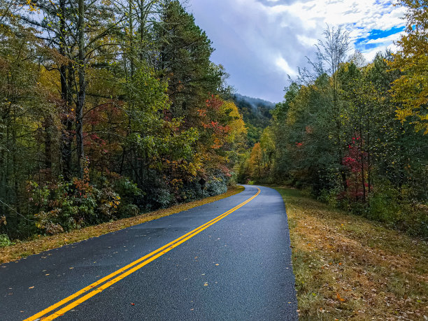 秋天的颜色图片下载