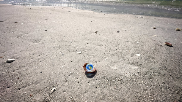 沙滩上牡蛎壳里的地球图片下载