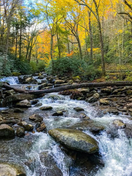 秋天的颜色图片下载