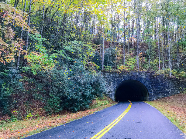 秋天的颜色图片下载