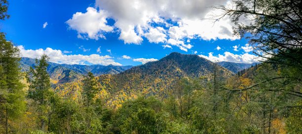 秋天的颜色图片下载