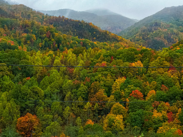 秋天的颜色图片下载