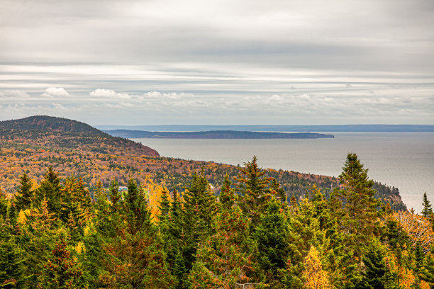 秋天的颜色图片下载