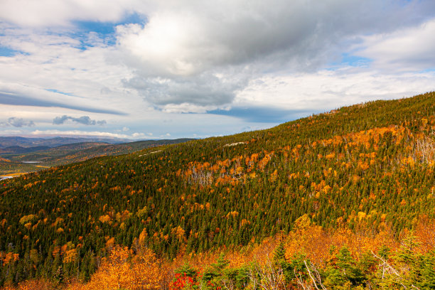 秋天的颜色图片下载