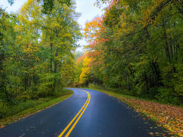 秋天的颜色图片下载