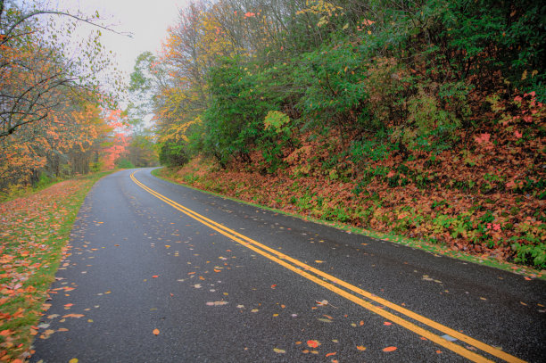 秋天的颜色图片下载