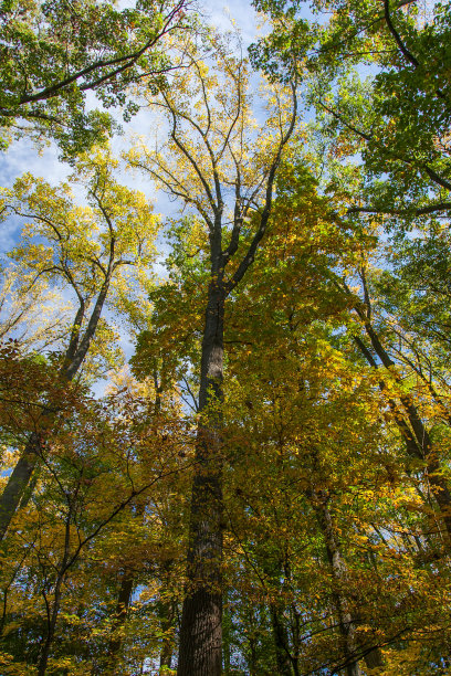 秋天的颜色图片下载