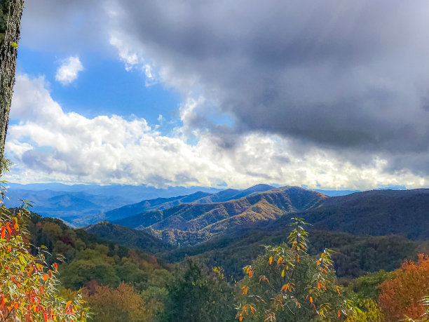 秋天的颜色图片下载