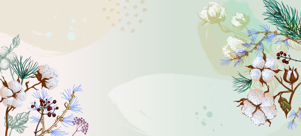 白色背景下的花朵图片下载