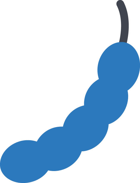 罗望子图片下载