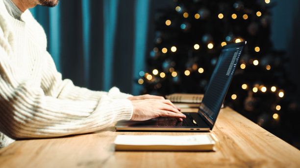 坐在家里装饰圣诞装饰品的时候用笔记本电脑工作图片下载