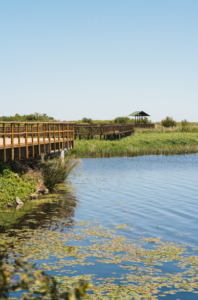 阿根廷Corrientes的伊比拉省立公园，有木栈道、草地、树木和伊比拉泻湖的一部分图片下载