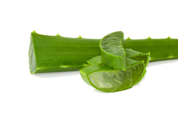 芦荟切片分离在白色背景，芦荟草药图片下载