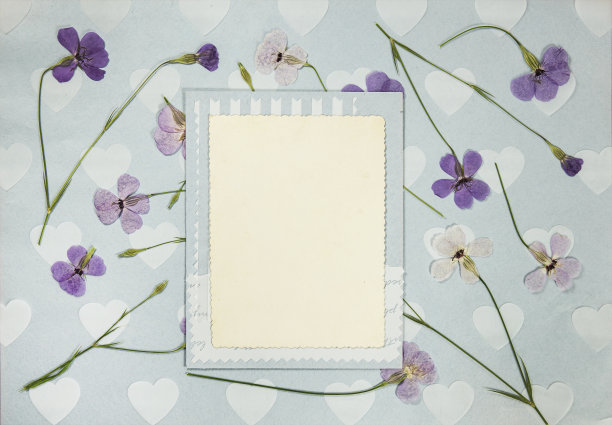 旧相册里的一页。干花。剪贴簿元素用树叶、花朵和花瓣装饰。贺卡、请柬和祝贺。用于剪贴簿、问候语图片下载