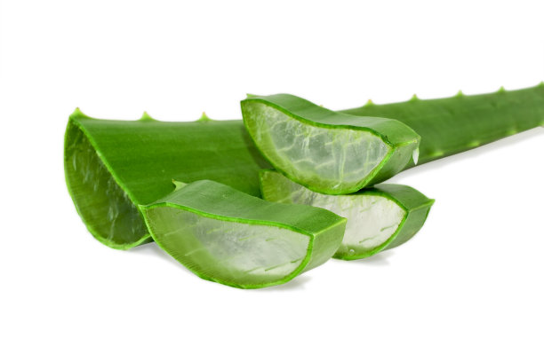 芦荟切片分离在白色背景，芦荟草药图片下载