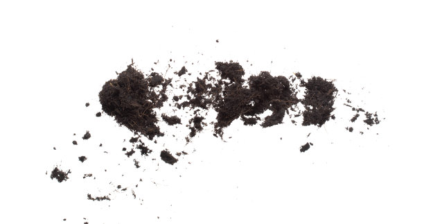 黑色肥料土壤准备种植，良好的有机土壤与根的花园耕作，精细细节的土壤抛飞在空中与灰尘肮脏。高速冻结拍摄在白色背景隔离。图片下载