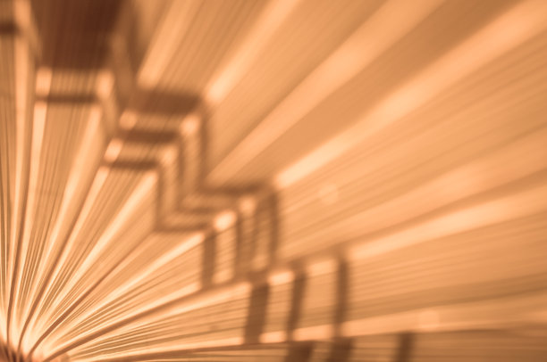 绿色棕榈叶的纹理图片下载