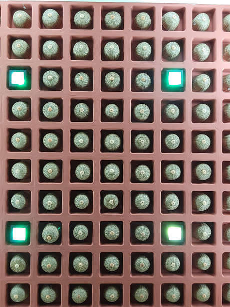 设计的天花板图片下载