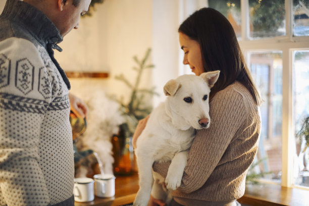 年轻幸福的一对男女抱着可爱的白色小狗，站在为圣诞节装饰的厨房里拥抱。图片下载