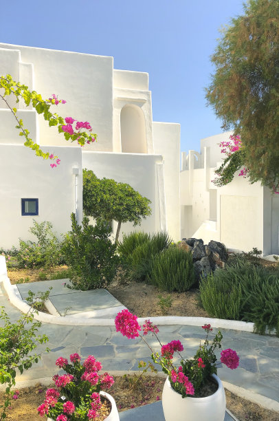 在乡村，在靠近房屋入口的花盆中种植开花的植物图片下载