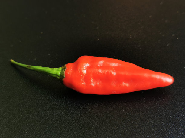 黑色底色的印尼红辣椒(辣椒)图片下载