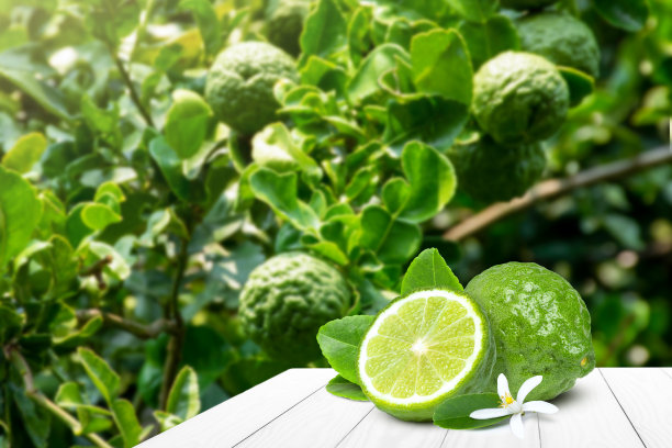 佛手柑图片下载