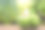 椰汁(椰子水)和新鲜的绿椰子图片下载