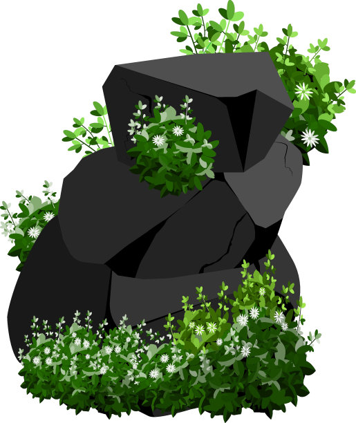 卡姆尼图片下载