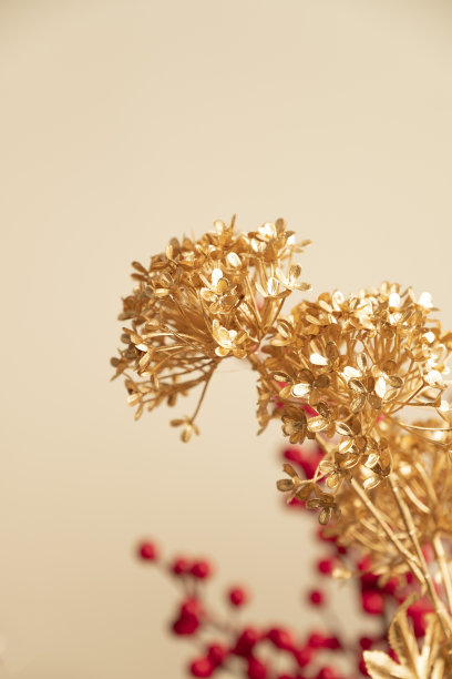 中国新年装饰与干净的背景图片下载