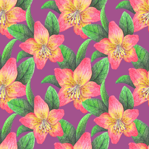 无缝图案与热带花卉。彩色插图。用彩色铅笔画的。适用于墙纸设计、织物、纺织品、包装。图片下载